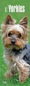 Yorkies 2018 Slim Calendar