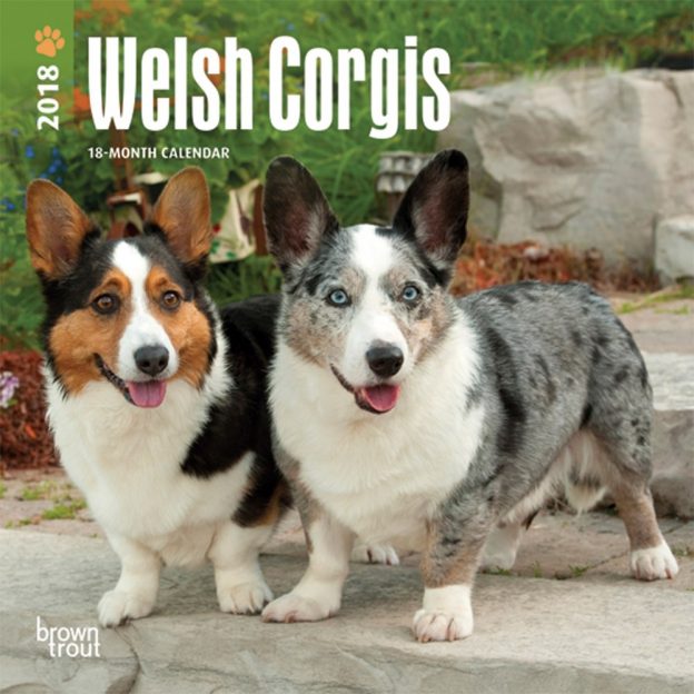 Welsh Corgis 2018 7 X 7 Inch Monthly Mini Wall Calendar