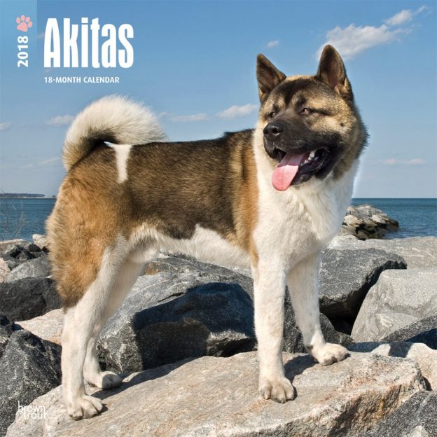 Akitas 2018 12 X 12 Inch Monthly Square Wall Calendar