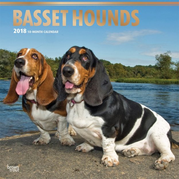 Basset Hounds 2018 12 X 12 Inch Monthly Square Wall Calendar With Foil Stamped Cover
