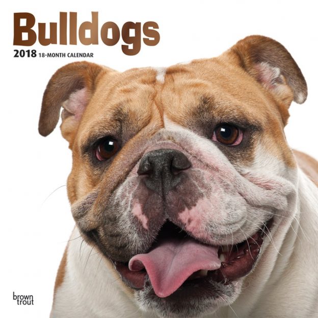 Bulldogs 2018 12 X 12 Inch Monthly Square Wall Calendar With Foil Stamped Cover