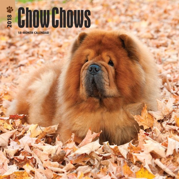 Chow Chows 2018 12 X 12 Inch Monthly Square Wall Calendar