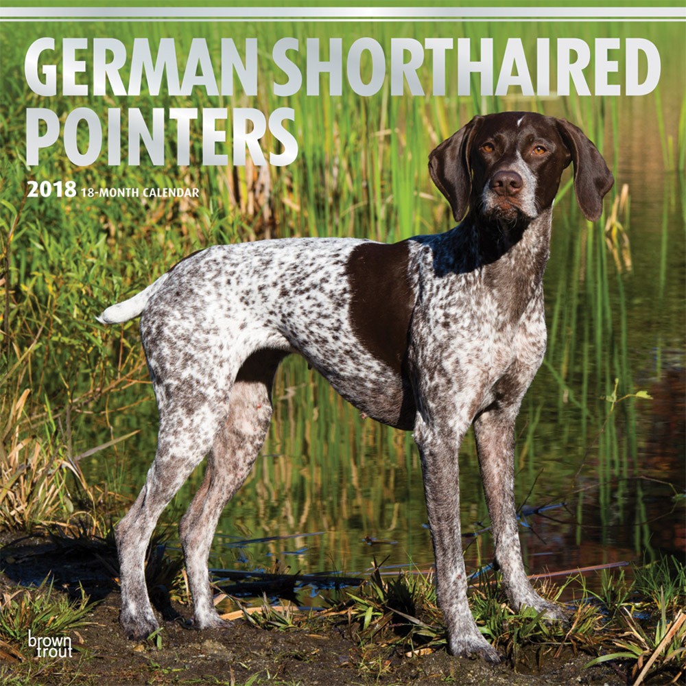 German Shorthaired Pointers DogDays 2023 Calendar and Puzzle App for
