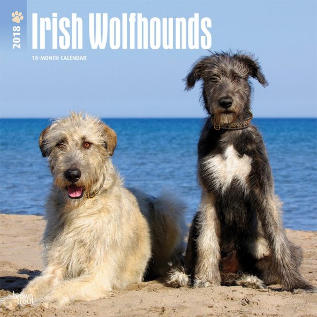 Irish Wolfhounds 2018 12 X 12 Inch Monthly Square Wall Calendar