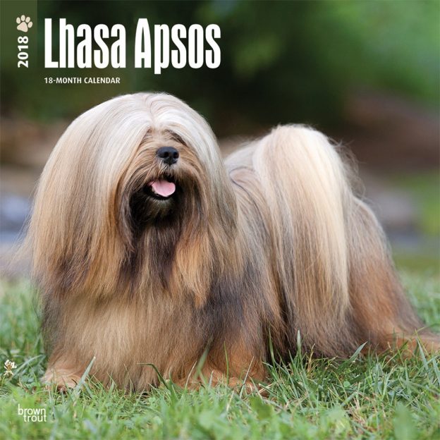 Lhasa Apsos 2018 12 X 12 Inch Monthly Square Wall Calendar