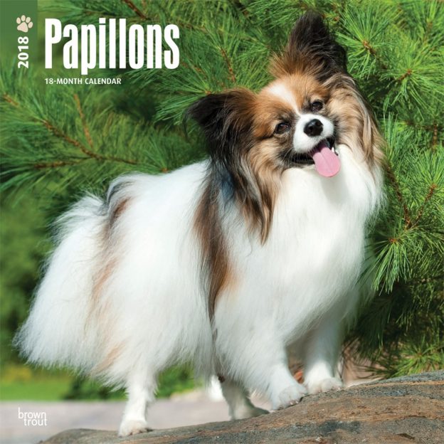 Papillons 2018 12 X 12 Inch Monthly Square Wall Calendar
