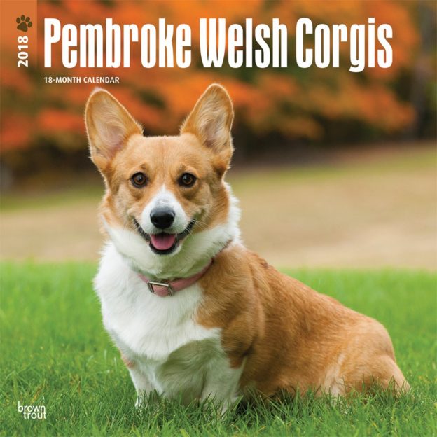 Pembroke Welsh Corgis 2018 12 X 12 Inch Monthly Square Wall Calendar
