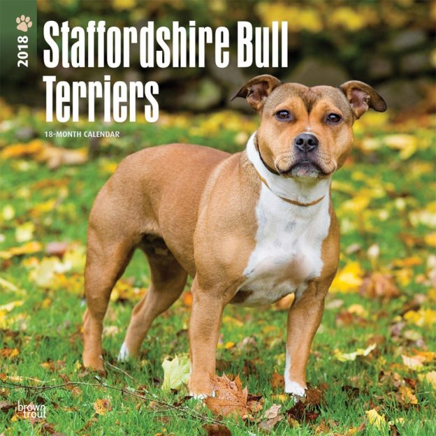 Staffordshire Bull Terriers 2018 12 X 12 Inch Monthly Square Wall Calendar
