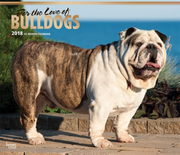 For The Love Of Bulldogs 2018 14 X 12 Inch Monthly Deluxe Wall Calendar With Foil Stamped Cover