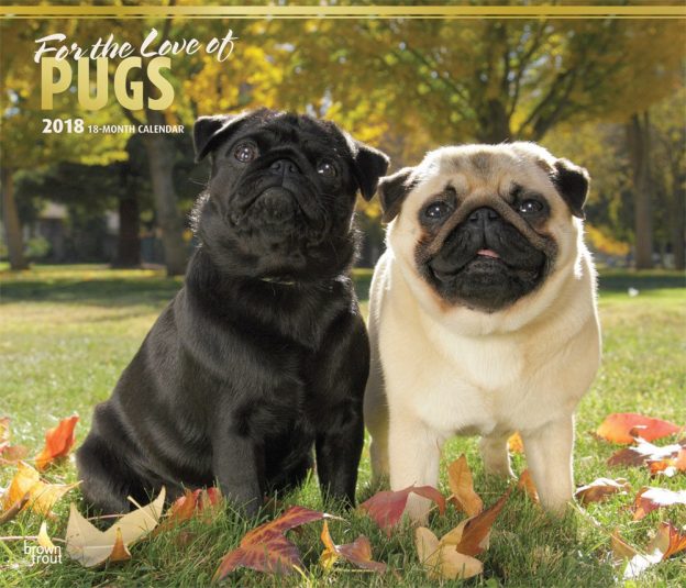 For The Love Of Pugs 2018 14 X 12 Inch Monthly Deluxe Wall Calendar With Foil Stamped Cover