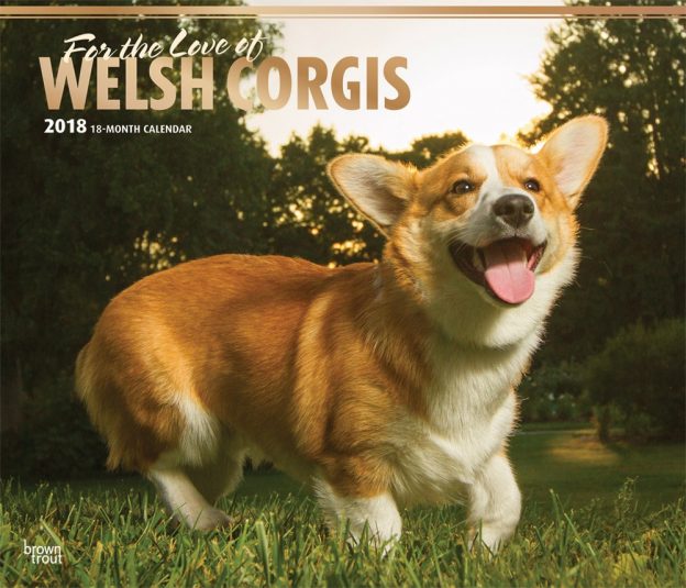 For The Love Of Welsh Corgis 2018 14 X 12 Inch Monthly Deluxe Wall Calendar With Foil Stamped Cover