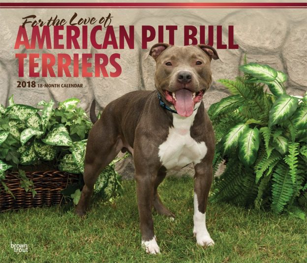For the Love of American Pit Bull Terriers 2018