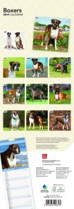 Boxers 2019 6.75 x 16.5 Inch Monthly Slimline Wall Calendar, Dog Canine