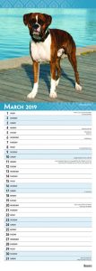 Boxers 2019 6.75 x 16.5 Inch Monthly Slimline Wall Calendar, Dog Canine