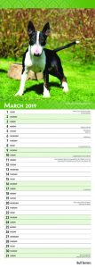 Bull Terriers 2019 6.75 x 16.5 Inch Monthly Slimline Wall Calendar, Dog Canine