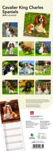 Cavalier King Charles Spaniels 2019 6.75 x 16.5 Inch Monthly Slimline Wall Calendar, Dog Canine