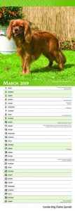 Cavalier King Charles Spaniels 2019 6.75 x 16.5 Inch Monthly Slimline Wall Calendar, Dog Canine