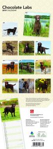 Chocolate Labradors 2019 6.75 x 16.5 Inch Monthly Slimline Wall Calendar, Dog Canine Lab