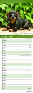 Dachshunds 2019 6.75 x 16.5 Inch Monthly Slimline Wall Calendar, Dog Canine