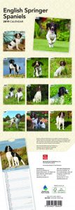 English Springer Spaniels 2019 6.75 x 16.5 Inch Monthly Slimline Wall Calendar, Dog Canine