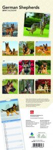 German Shepherds 2019 6.75 x 16.5 Inch Monthly Slimline Wall Calendar, Dog Canine Police