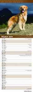 Golden Retrievers 2019 6.75 x 16.5 Inch Monthly Slimline Wall Calendar, Dog Canine Goldie