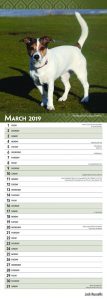 Jack Russells 2019 6.75 x 16.5 Inch Monthly Slimline Wall Calendar, Dog Canine