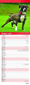 Staffies 2019 6.75 x 16.5 Inch Monthly Slimline Wall Calendar, Dog Canine Staffordshire Bull Terriers