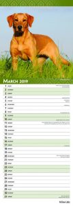 Yellow Labradors 2019 6.75 x 16.5 Inch Monthly Slimline Wall Calendar, Dog Canine Lab Hunting