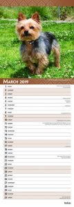 Yorkies 2019 6.75 x 16.5 Inch Monthly Slimline Wall Calendar, Dog Canine Yorkshire Terriers