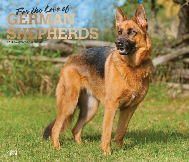For the Love of German Shepherds 2019 14 x 12 Inch Monthly Deluxe Wall Calendar with Foil Stamped Cover