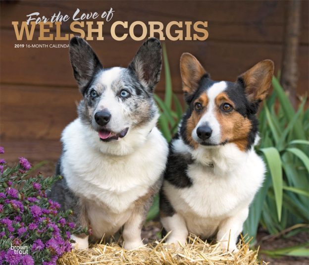 For the Love of Welsh Corgis 2019 14 x 12 Inch Monthly Deluxe Wall Calendar with Foil Stamped Cover