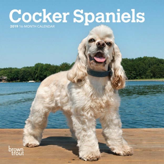 Cocker Spaniels 2019 7 x 7 Inch Monthly Mini Wall Calendar, Animals Mixed Dog Breeds