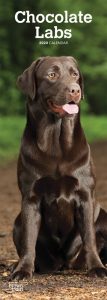 Chocolate Labradors 2020 6.75 x 16.5 Inch Monthly Slimline Wall Calendar, Dog Canine Lab