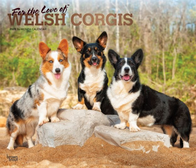 For the Love of Welsh Corgis 2020 14 x 12 Inch Monthly Deluxe Wall Calendar with Foil Stamped Cover, Animal Dog Breeds Corgi