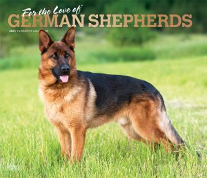 For the Love of German Shepherds 2021 14 x 12 Inch Monthly Deluxe Wall Calendar with Foil Stamped Cover, Animal Dog Breeds