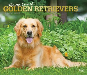 For the Love of Golden Retrievers 2021 14 x 12 Inch Monthly Deluxe Wall Calendar with Foil Stamped Cover, Animal Dog Breeds