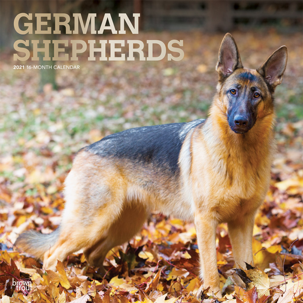 german-shepherds-2021-square-wall-calendar-dogdays-2023-calendar-and