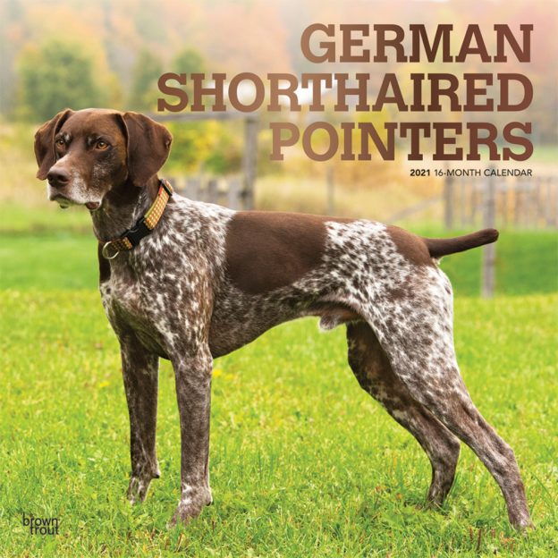 German Shorthaired Pointers 2021 12 x 12 Inch Monthly Square Wall Calendar with Foil Stamped Cover, Animals Dog Breeds