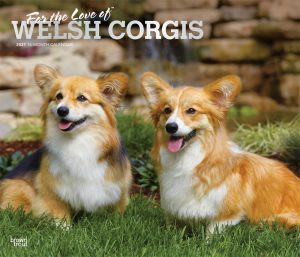 For the Love of Welsh Corgis 2021 14 x 12 Inch Monthly Deluxe Wall Calendar with Foil Stamped Cover, Animal Dog Breeds Corgi