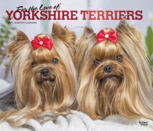 For the Love of Yorkshire Terriers 2021 14 x 12 Inch Monthly Deluxe Wall Calendar with Foil Stamped Cover, Animal Small Dog Breeds