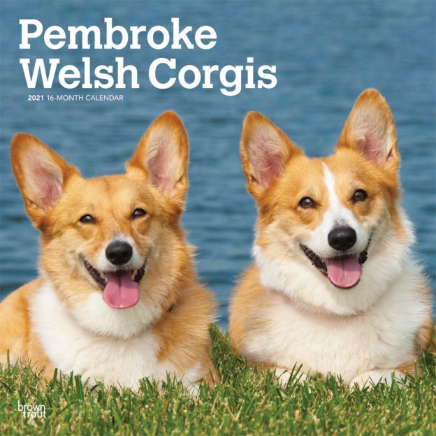 Pembroke Welsh Corgis 2021 12 x 12 Inch Monthly Square Wall Calendar, Animals Dog Breeds