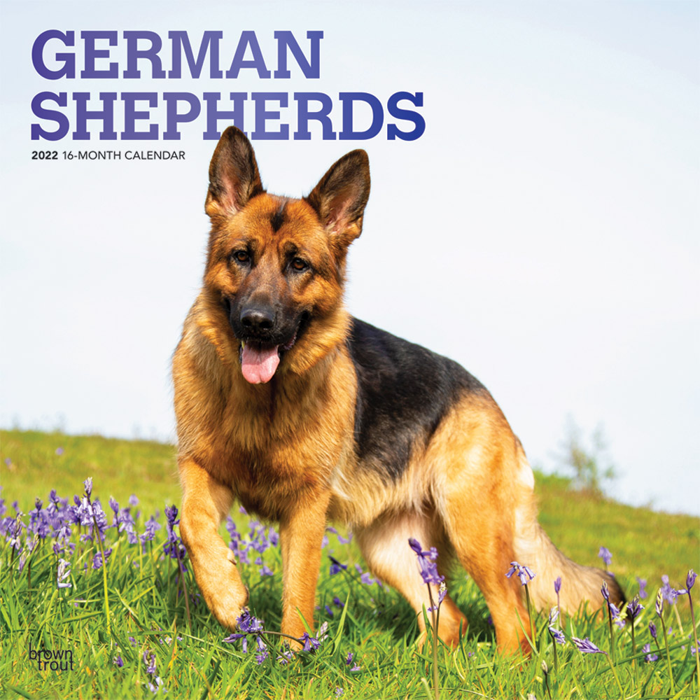 German Shepherds 2022 12 x 12 Inch Monthly Square Wall Calendar with Foil Stamped Cover, Animals Dog Breeds DogDays