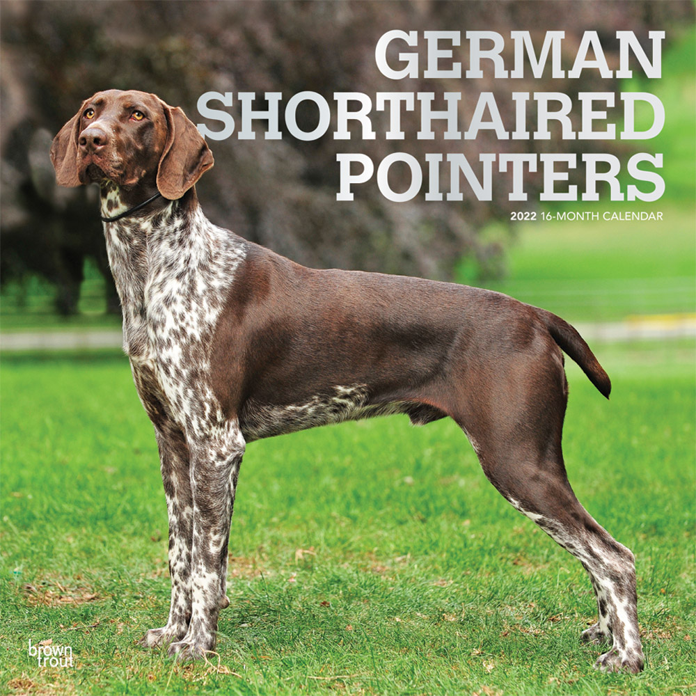 German Shorthaired Pointers 2022 12 x 12 Inch Monthly Square Wall Calendar with Foil Stamped Cover, Animals Dog Breeds DogDays