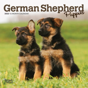 German Shepherd Puppies 2022 7 x 7 Inch Monthly Mini Wall Calendar, Animals Dog Breeds Puppy DogDays