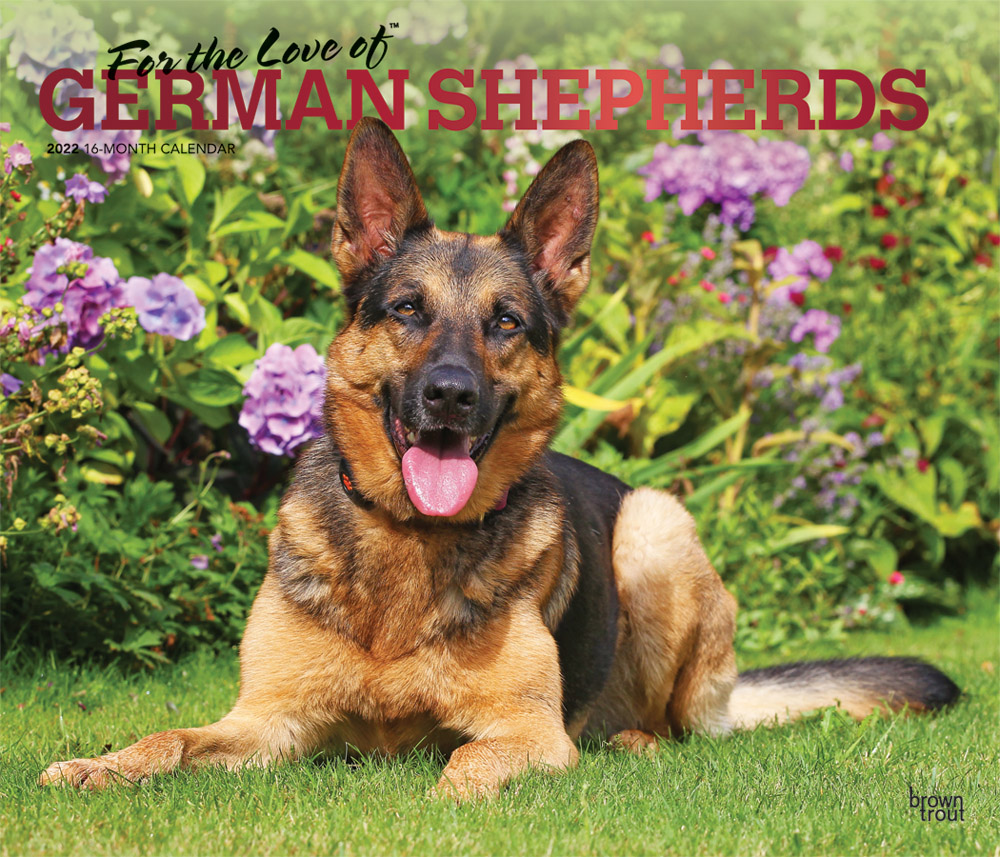 For the Love of German Shepherds 2022 Deluxe Wall Calendar DogDays