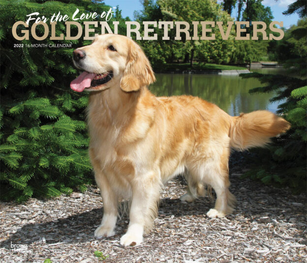 For the Love of Golden Retrievers 2022 14 x 12 Inch Monthly Deluxe Wall Calendar with Foil Stamped Cover, Animal Dog Breeds DogDays