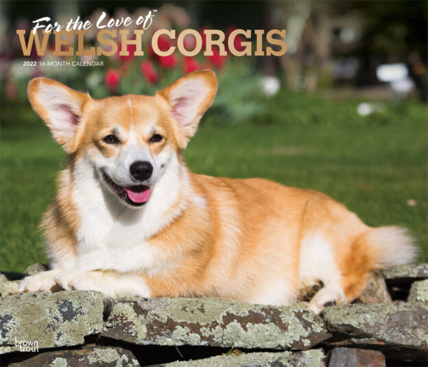 For the Love of Welsh Corgis 2022 14 x 12 Inch Monthly Deluxe Wall Calendar with Foil Stamped Cover, Animal Dog Breeds DogDays