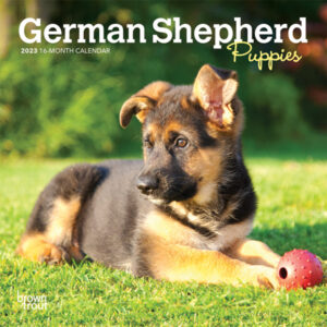 German Shepherd Puppies | 2023 7 x 14 Inch Monthly Mini Wall Calendar | BrownTrout | Animals Dog Breeds Puppy DogDays