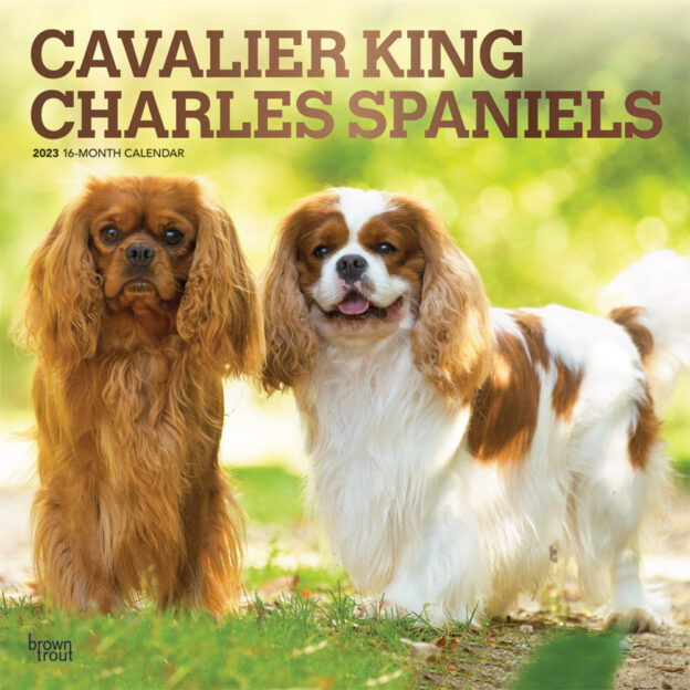 Cavalier King Charles Spaniels | 2023 12 x 24 Inch Monthly Square Wall Calendar | Foil Stamped Cover | BrownTrout | Animals Dog Breeds Puppies DogDays